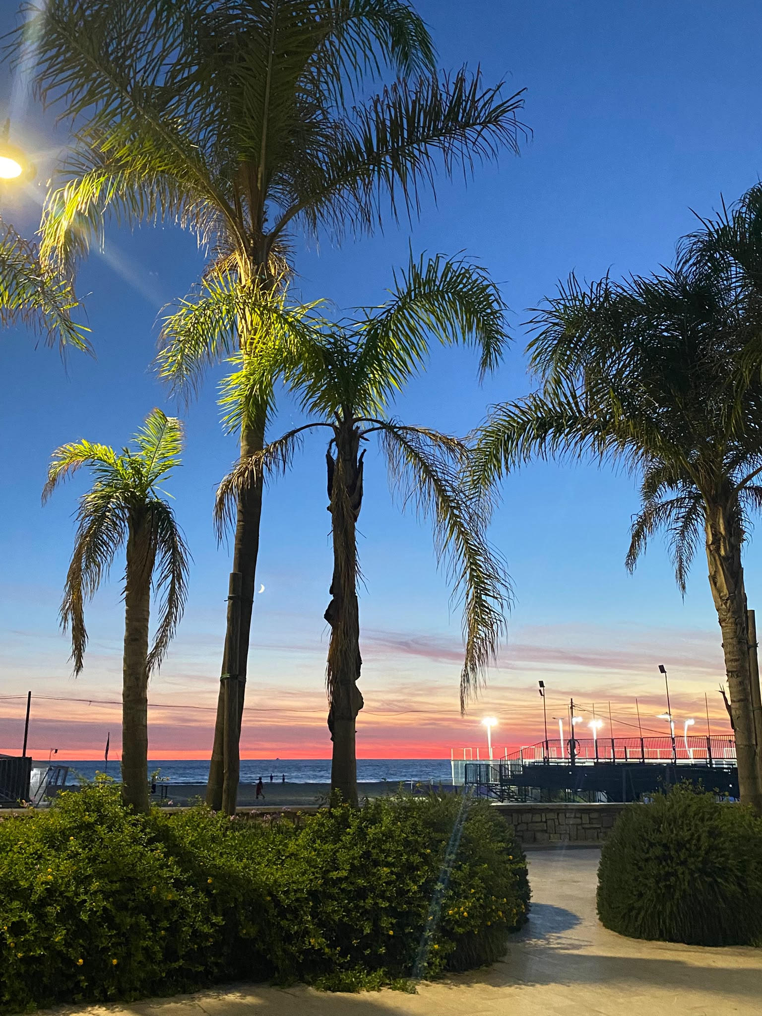 Palme al tramonto sul lungomare di Serapo
